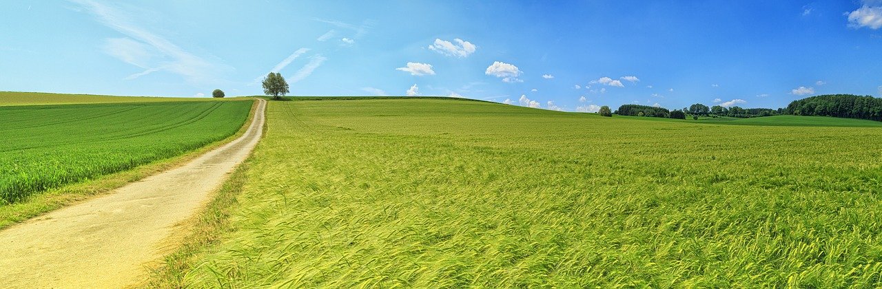 field, countryside, panorama-3629120.jpg